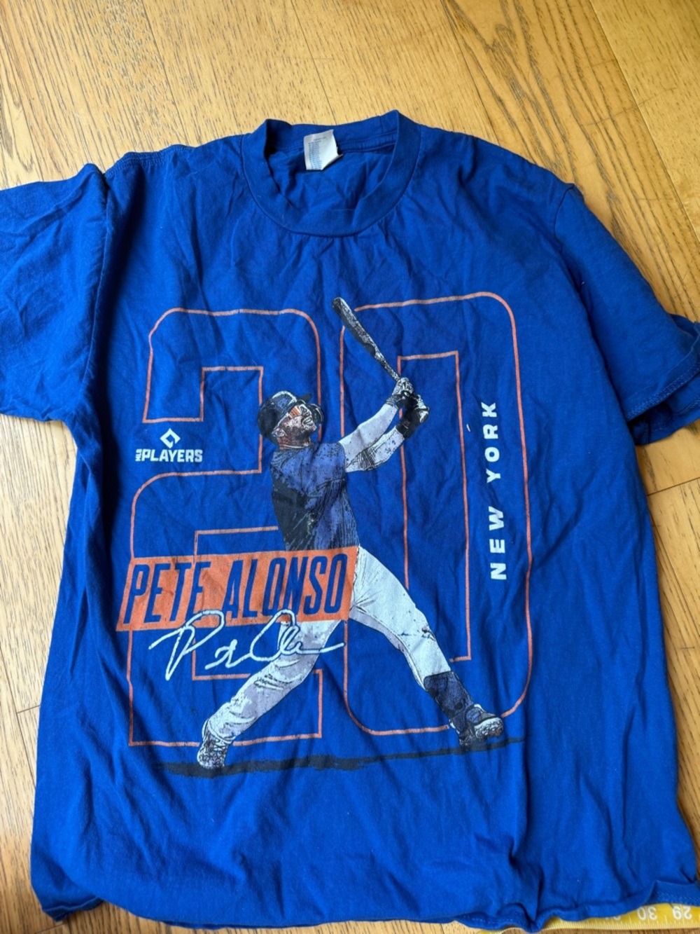 Hanes Royal Blue Graphic Crewneck Tee